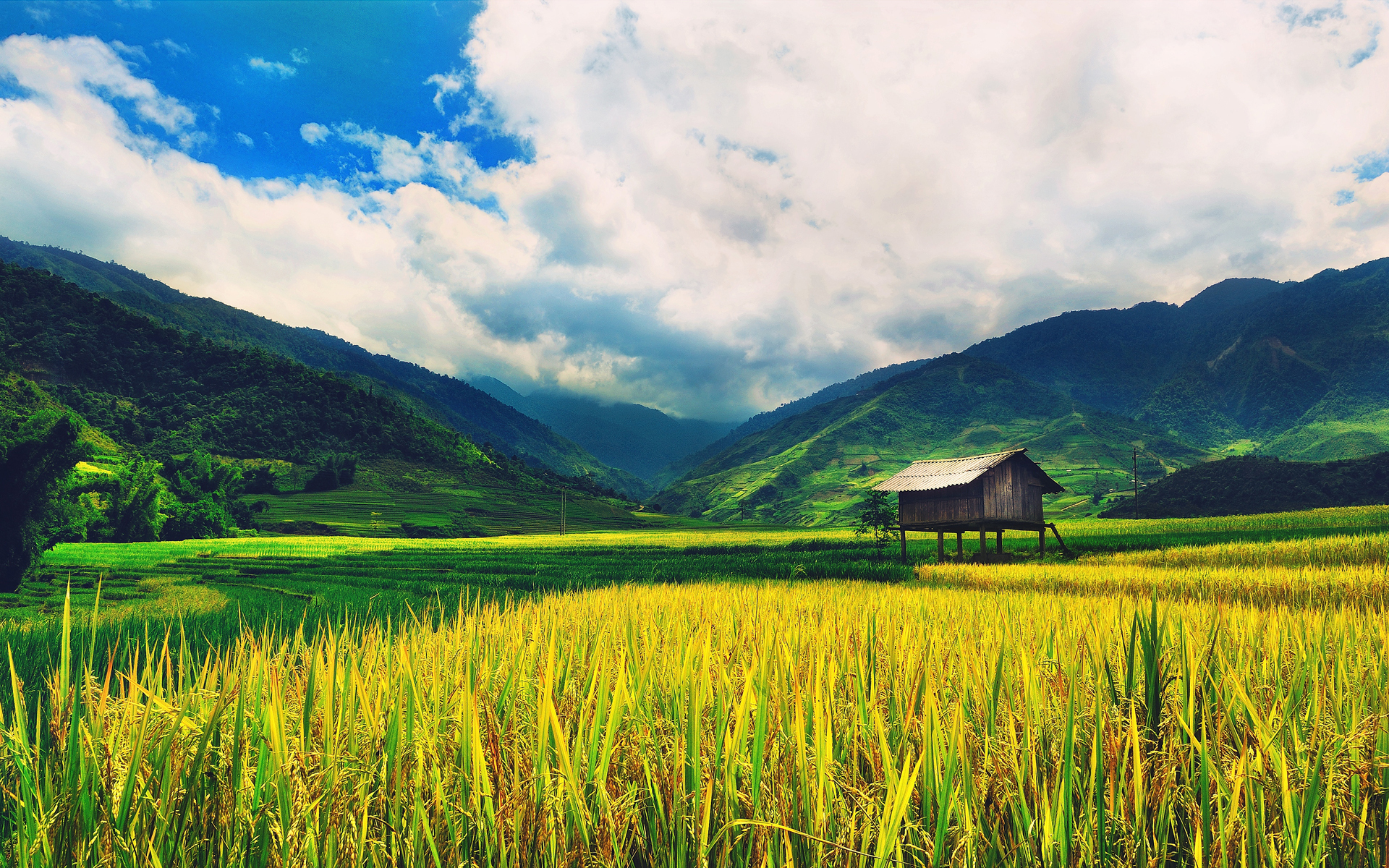 nature, Landscapes, Fields, Wheat, Farm, Buildings, Mountains, Sky, Clouds Wallpaper