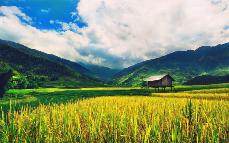 nature, Landscapes, Fields, Wheat, Farm, Buildings, Mountains, Sky, Clouds HD Wallpaper Desktop Background