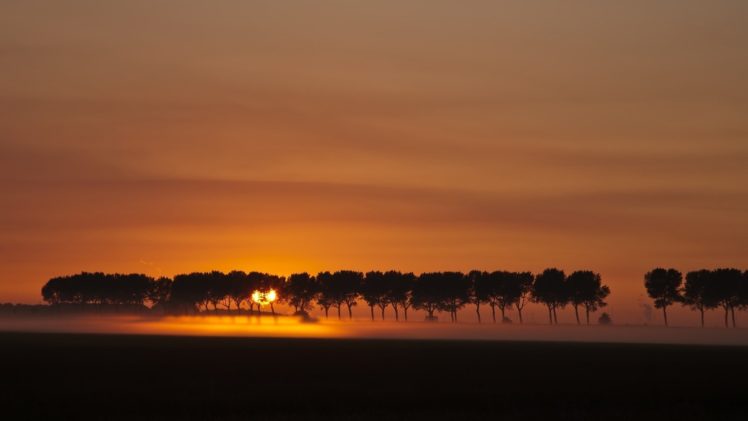 sunset, Landscapes, Nature, Trees, Silhouettes, Fog, Evening HD Wallpaper Desktop Background