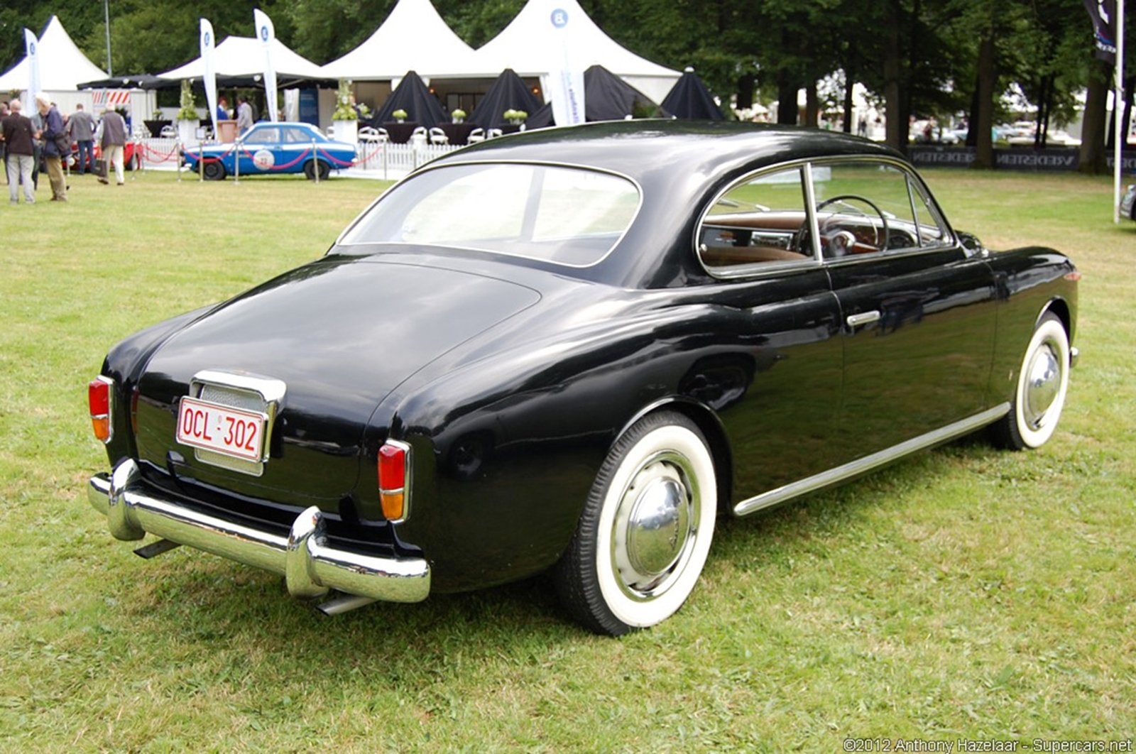 1038641, 1600x1062 Wallpaper