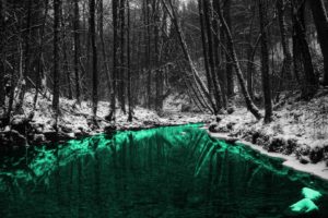 green, Nature, Forests, Outdoors, Selective, Coloring, Rivers