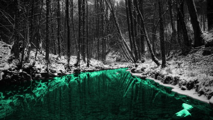 green, Nature, Forests, Outdoors, Selective, Coloring, Rivers HD Wallpaper Desktop Background