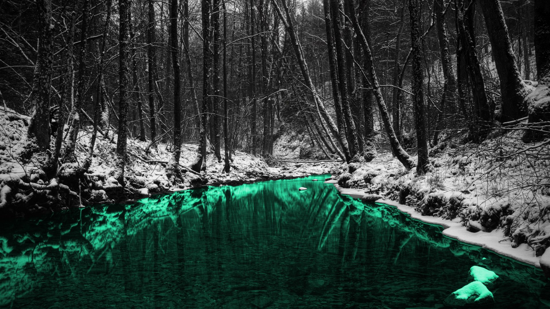 green, Nature, Forests, Outdoors, Selective, Coloring, Rivers Wallpaper