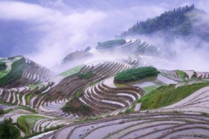 landscapes, Nature, Mist, Terraces, Natural, Scenery, Early, Morning, Rice, Terraces