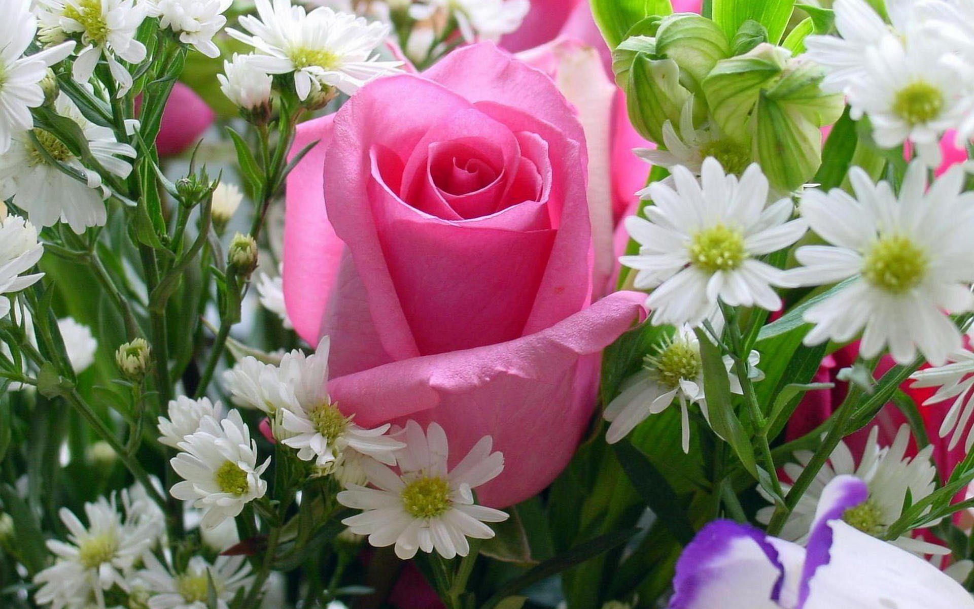 archigraph Wallpaper