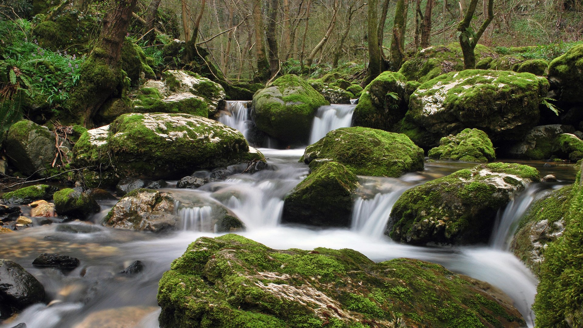 landscapes Wallpaper