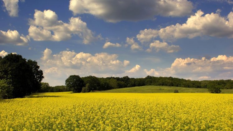 clouds, Landscapes, Nature, Fields, Skyscapes, Land HD Wallpaper Desktop Background