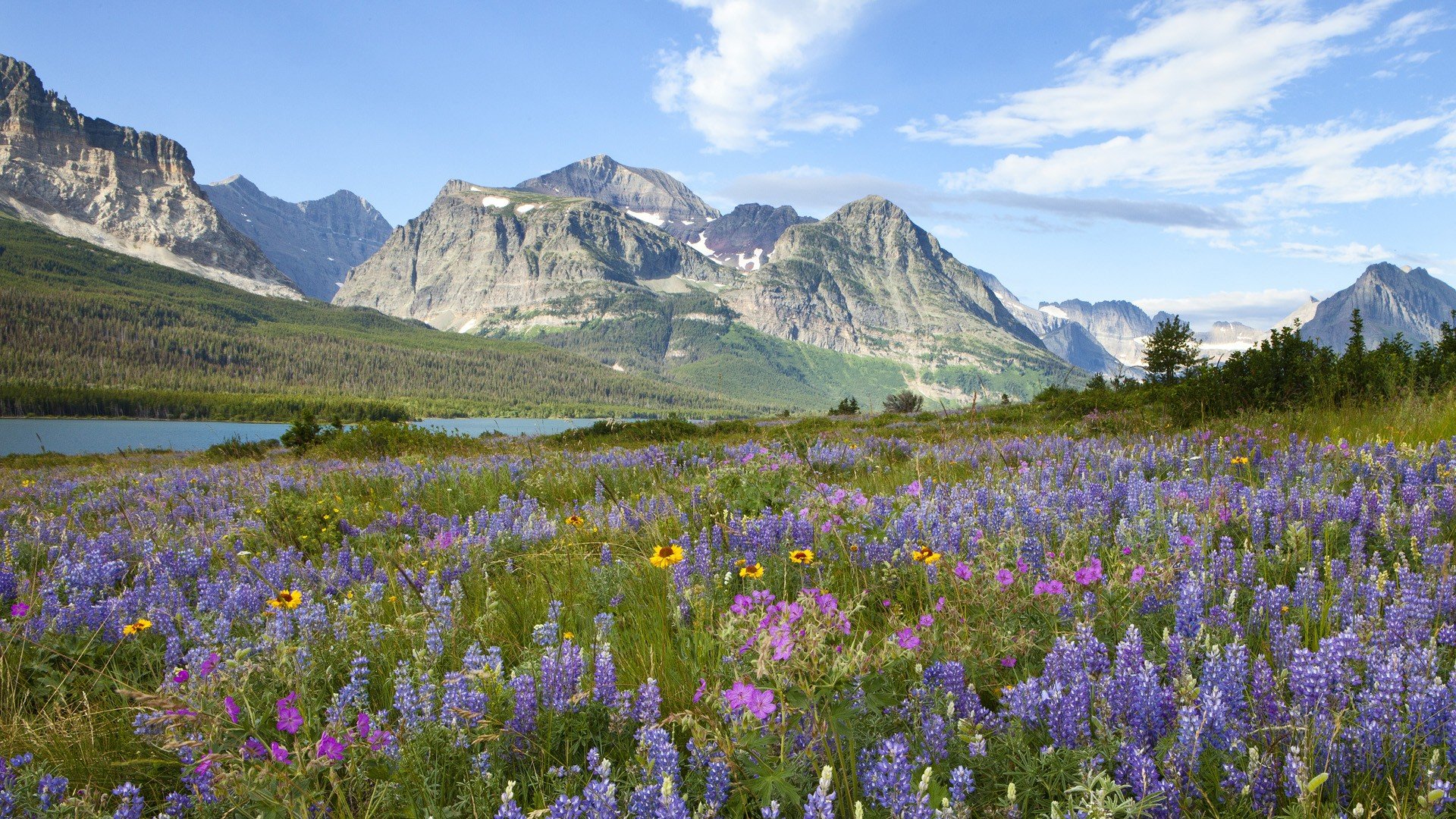 glacier, National, Park Wallpaper