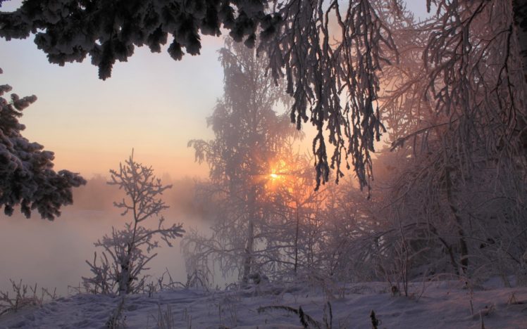 landscapes, Winter, Sunset, Sunrise, Trees, Forest HD Wallpaper Desktop Background