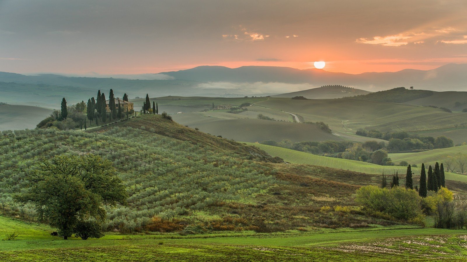 green, Sunset, Landscapes, Nature, Trees, Grass, Houses, Hills, Italy, Roads, Toscana Wallpaper