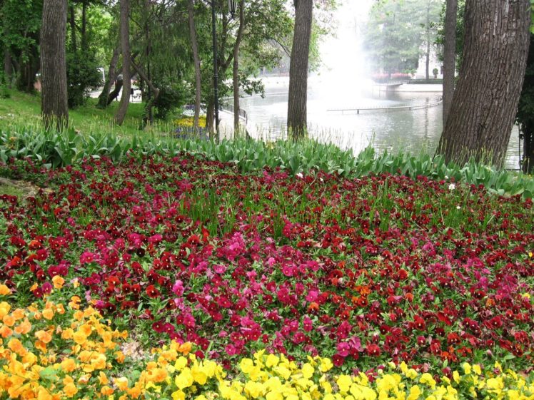 flowers, Garden, Istanbul, Lakes, Yaia HD Wallpaper Desktop Background