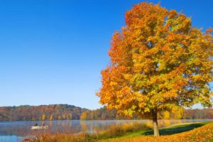 serenity, Autumn, Hills, Ohio