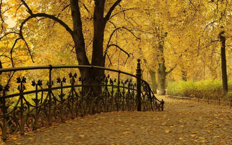 trees, Parks HD Wallpaper Desktop Background