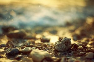 stones, Seashells, Depth, Of, Field