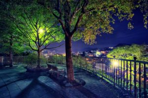 park, Garden, Bench, Trees, Night, Lights, Lamp, Post, Fence, Railing, View, Scenic
