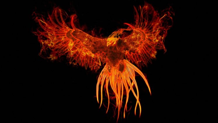 birds, Fire, Phoenix, Fantasy, Art, Digital, Art, Artwork, Mythology HD Wallpaper Desktop Background