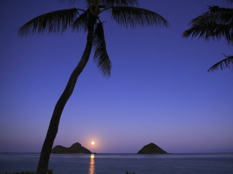 hawaii, Islands, Palm, Trees, Oahu, Moonrise HD Wallpaper Desktop Background
