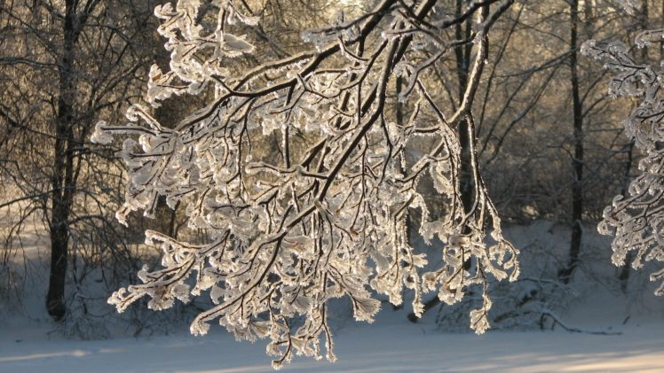 landscapes, Ice, Winter, Sunlight HD Wallpaper Desktop Background