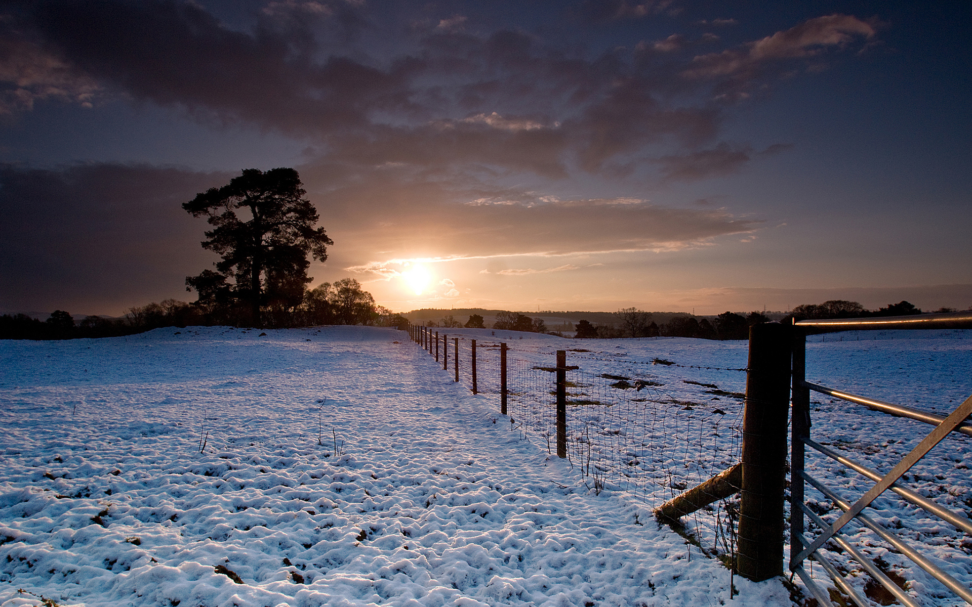 fields, Winter, Snow, Sunset, Sunrise, Sky, Clouds, Fence, Trees Wallpaper