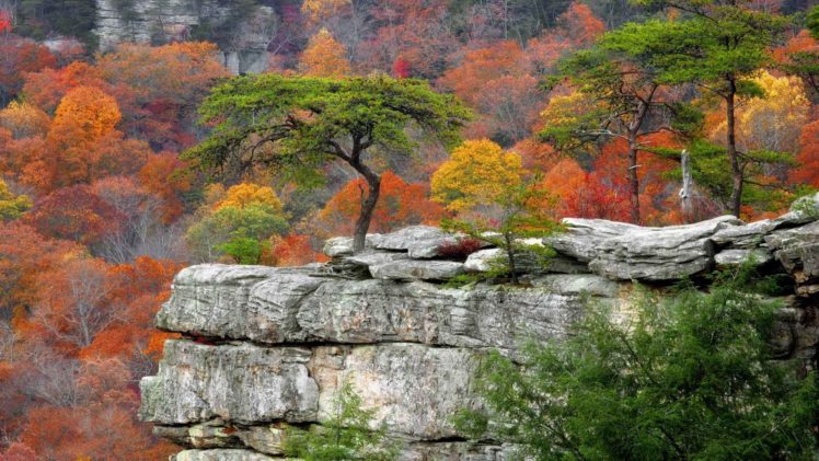 autumn, Falls, Tennessee, Parks, Resort HD Wallpaper Desktop Background