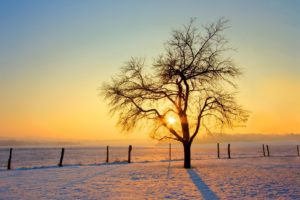 sunset, Landscapes, Winter, Snow, Trees, Fences, Snow, Landscapes