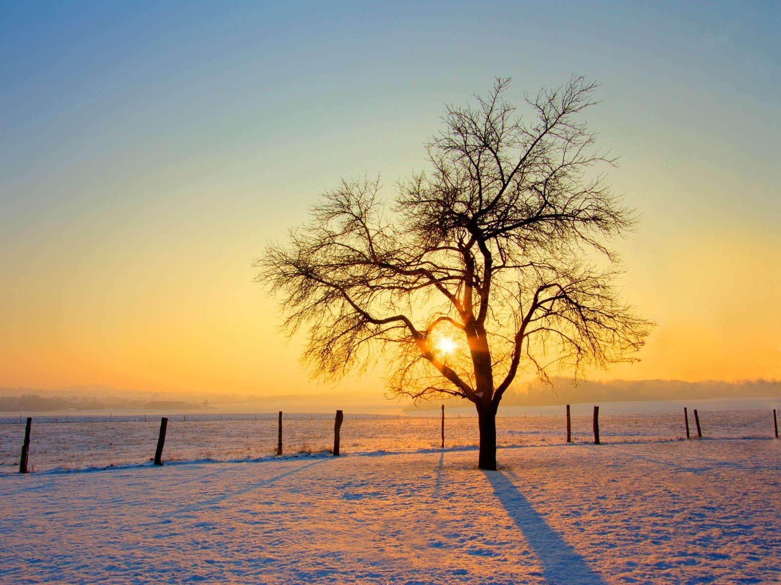 sunset, Landscapes, Winter, Snow, Trees, Fences, Snow, Landscapes Wallpaper