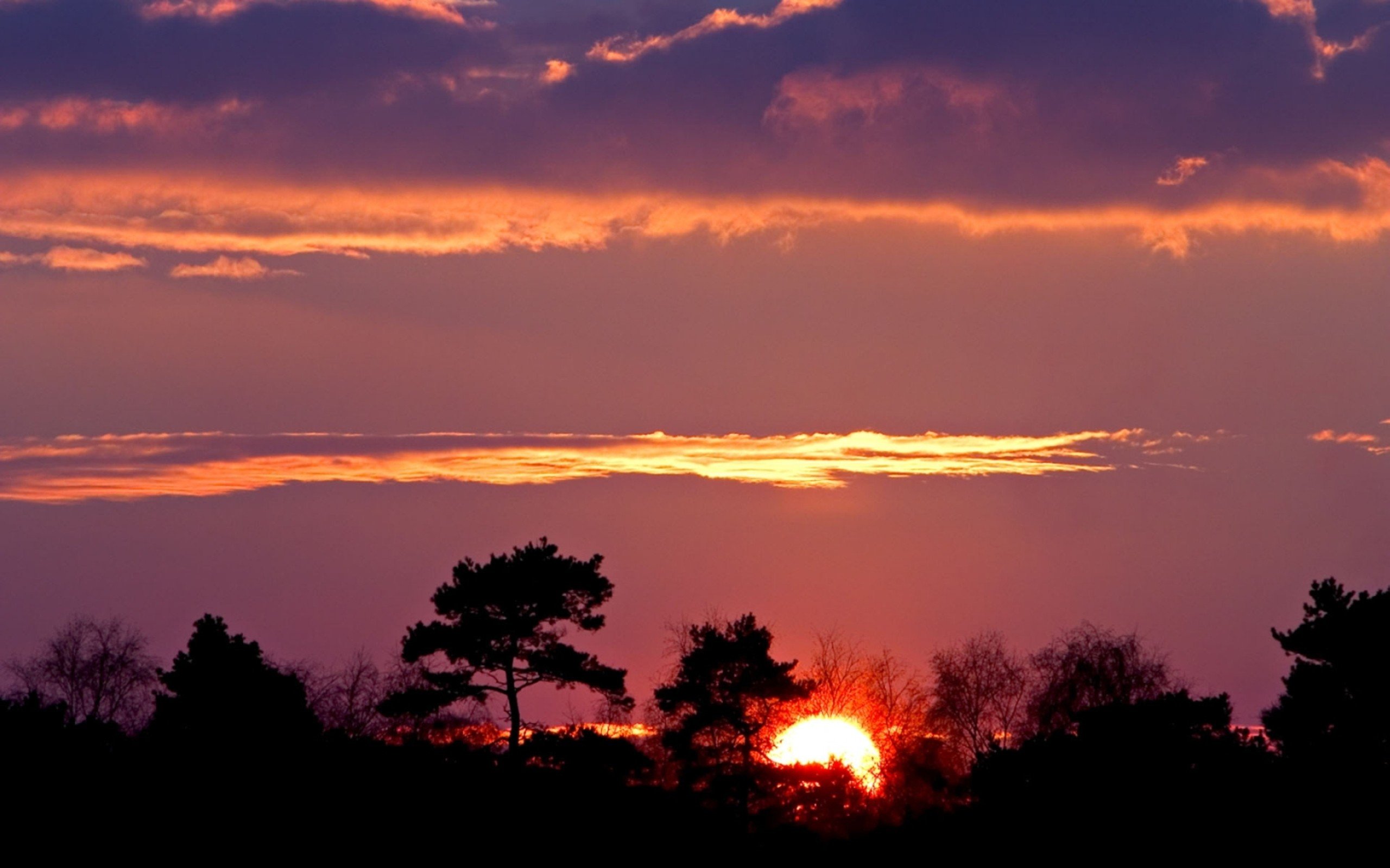 clouds, Landscapes, Nature, Trees Wallpaper