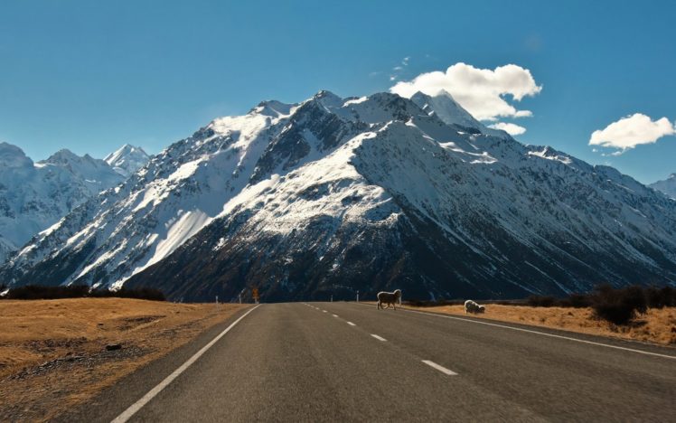 nature, Landscapes, Rustic, Sheep, Livestock, Mountains, Snow, Sky, Clouds HD Wallpaper Desktop Background