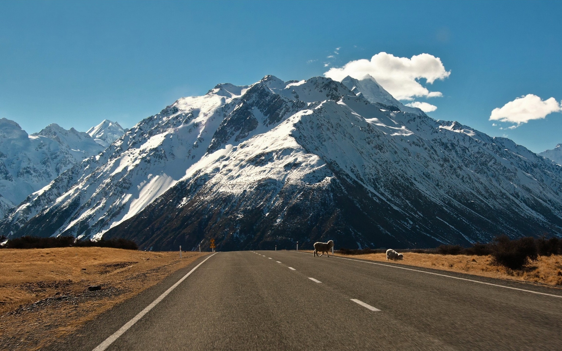 nature, Landscapes, Rustic, Sheep, Livestock, Mountains, Snow, Sky, Clouds Wallpaper