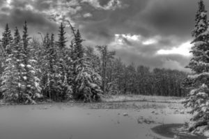 landscapes, Winter, Snow, Trees, Forest, Shore, Sky, Clouds, Hdr
