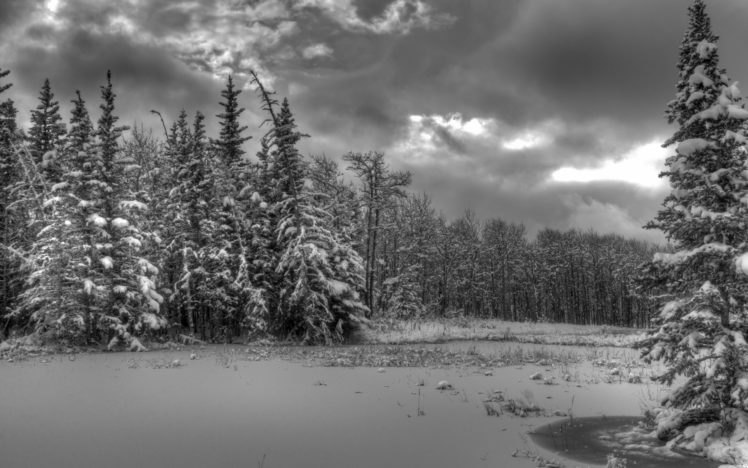 landscapes, Winter, Snow, Trees, Forest, Shore, Sky, Clouds, Hdr HD Wallpaper Desktop Background