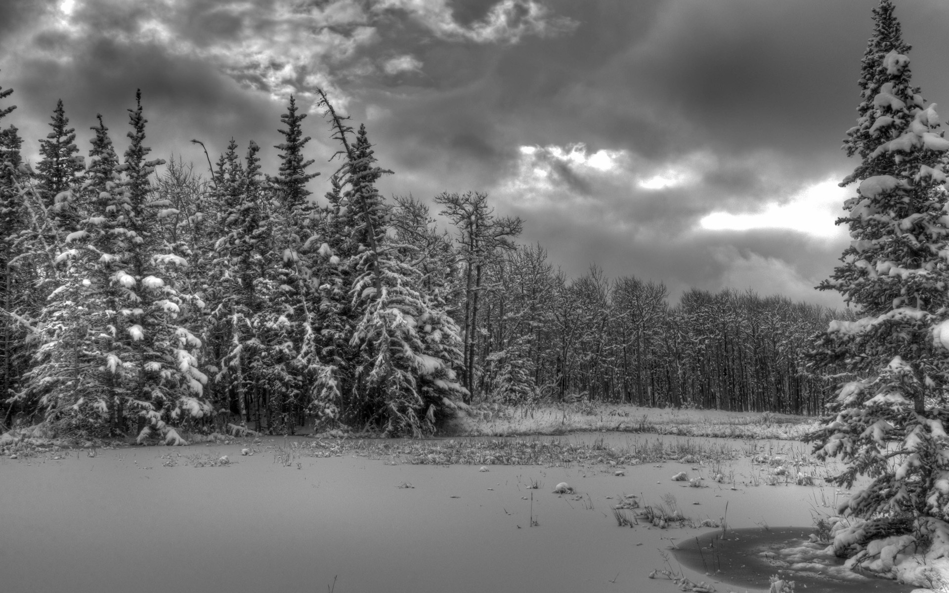 landscapes, Winter, Snow, Trees, Forest, Shore, Sky, Clouds, Hdr Wallpaper