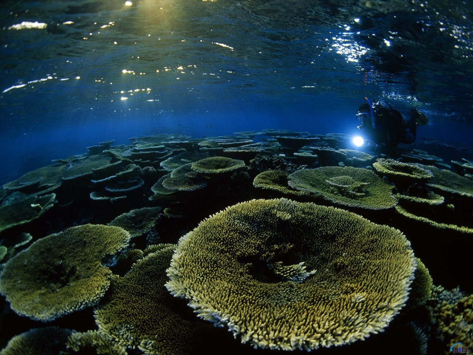 ocean, Sea Wallpaper