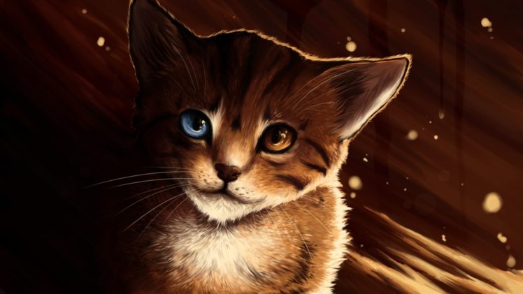 art, Eyes, Kittens, Cute HD Wallpaper Desktop Background