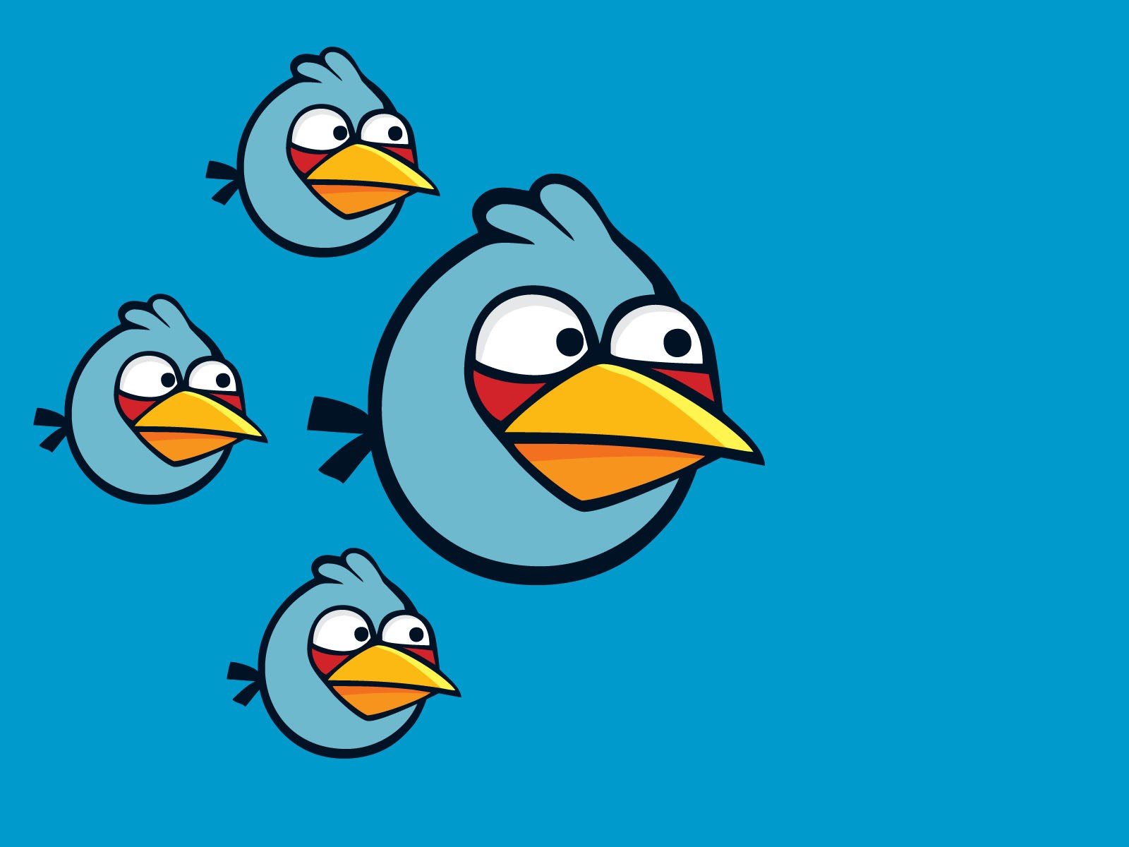 blue, Freedom, Angry, Angry, Birds, Simple, Background, Blue, Bird Wallpaper