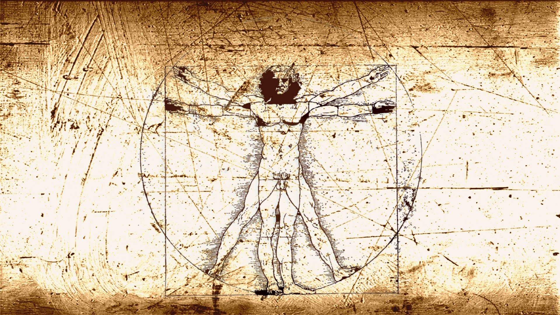 vitruvian, Man, Leonardo, Da, Vinci Wallpaper