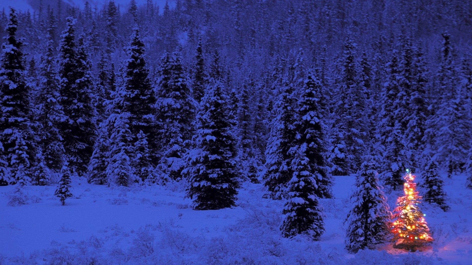 little Wallpaper
