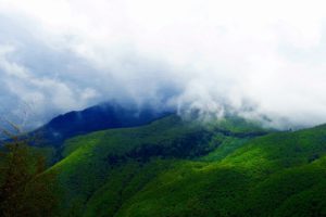 mountains, Clouds, Landscapes, Nature, Trees, Fog, Sunlight, Skies