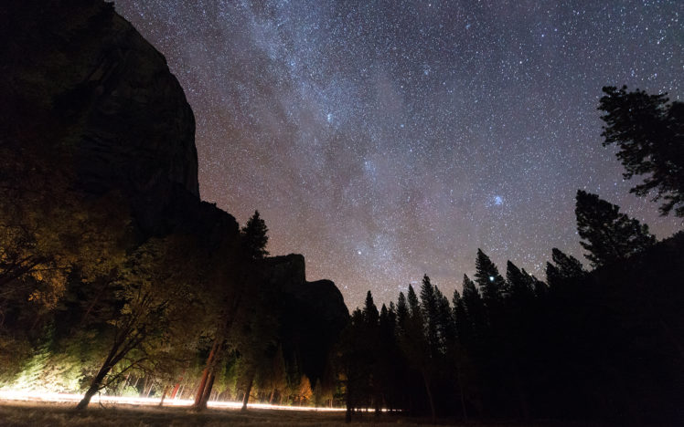 yosemite, Stars, Trees, Forest, Timelapse, Light, Night HD Wallpaper Desktop Background