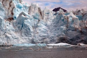 landscapes, Iceberg, Glacier, Ocean, Artic, Animals, Birds, Winter