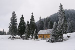 landscapes, Nature, Snow, Cabin, Pine, Trees