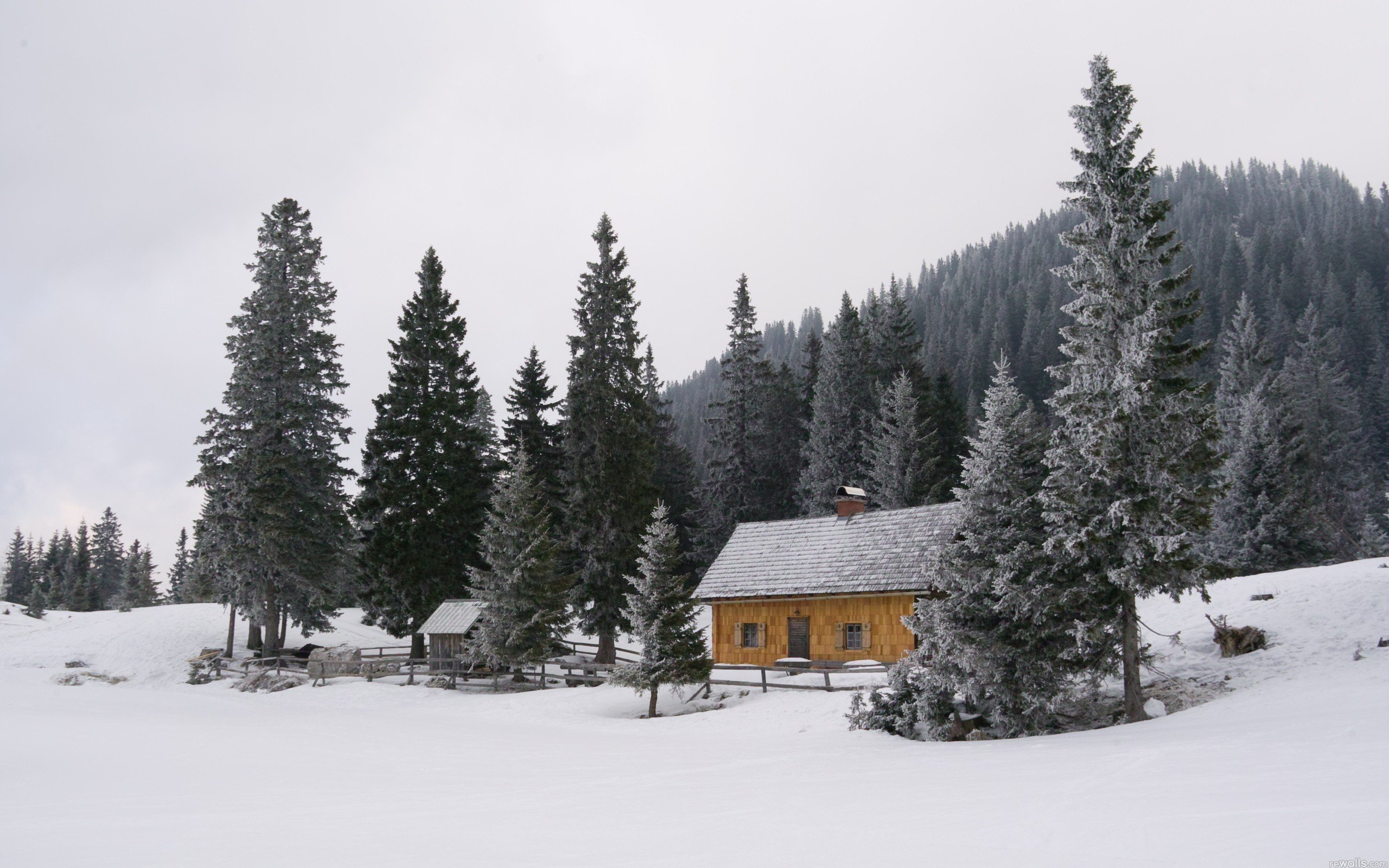 landscapes, Nature, Snow, Cabin, Pine, Trees Wallpaper