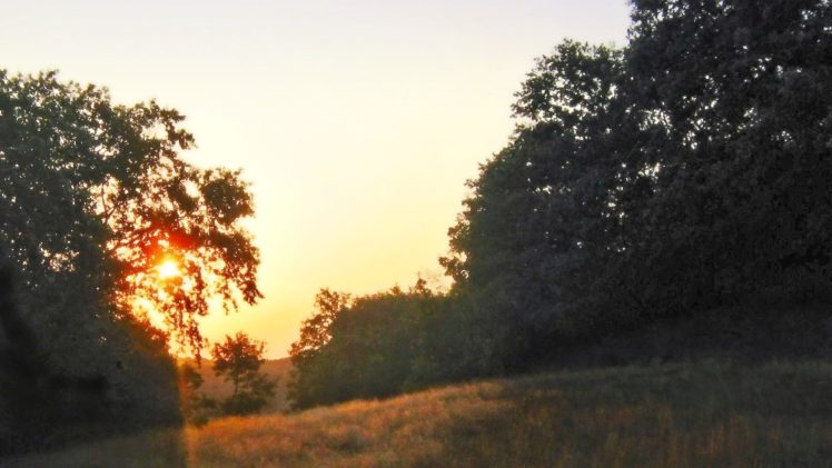 sunset, Sun, Forests, Bulgaria, Skies HD Wallpaper Desktop Background