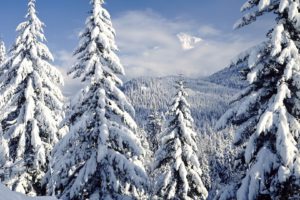mountains, Landscapes, Nature, Snow, Trees, Forests