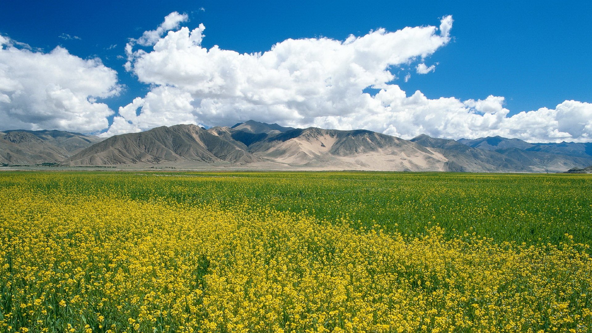 landscapes Wallpaper