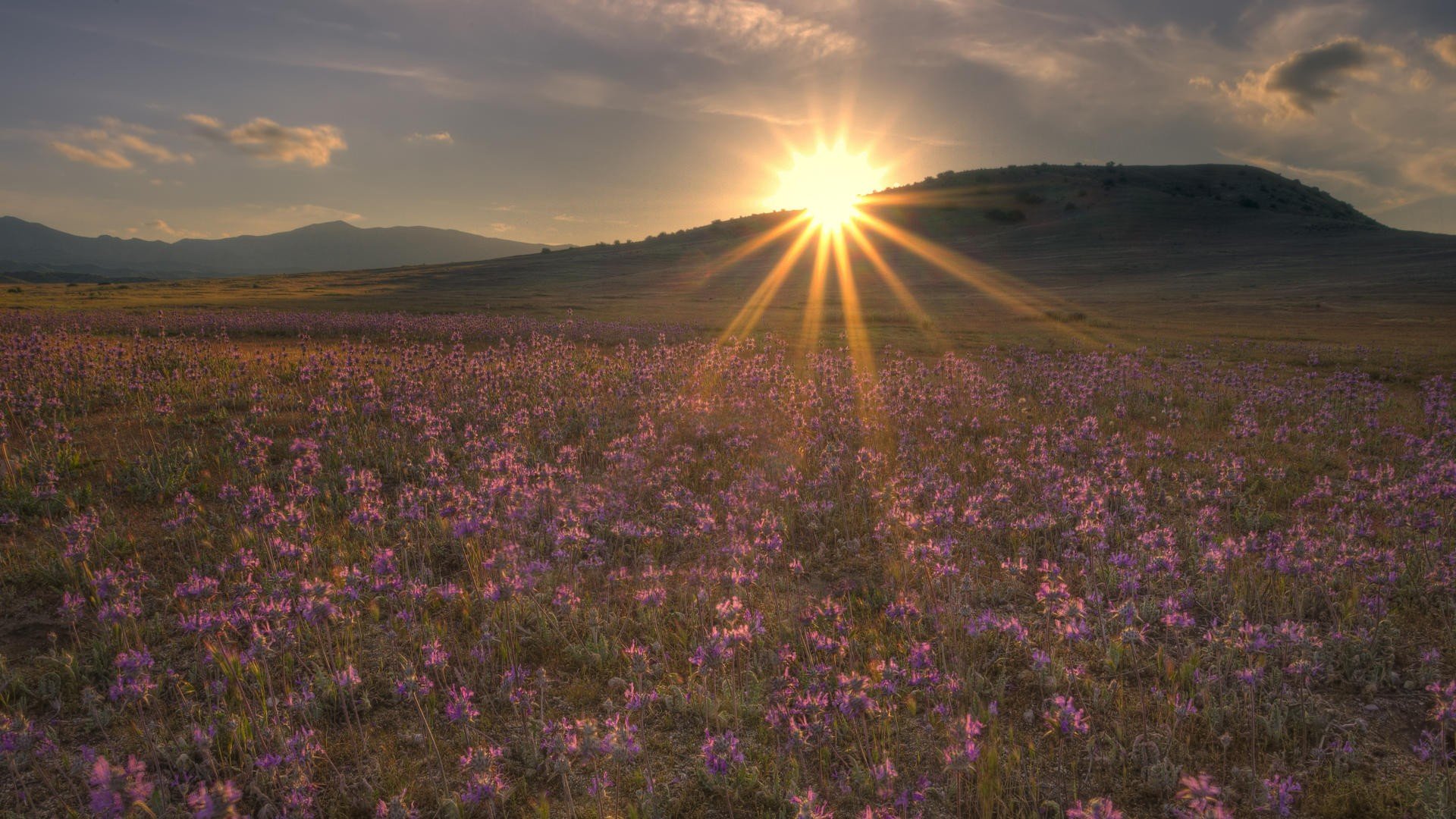 california, National Wallpaper