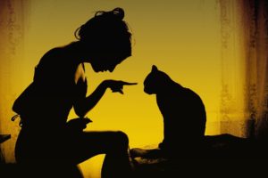 women, Yellow, Cats, Silhouettes, Curtains