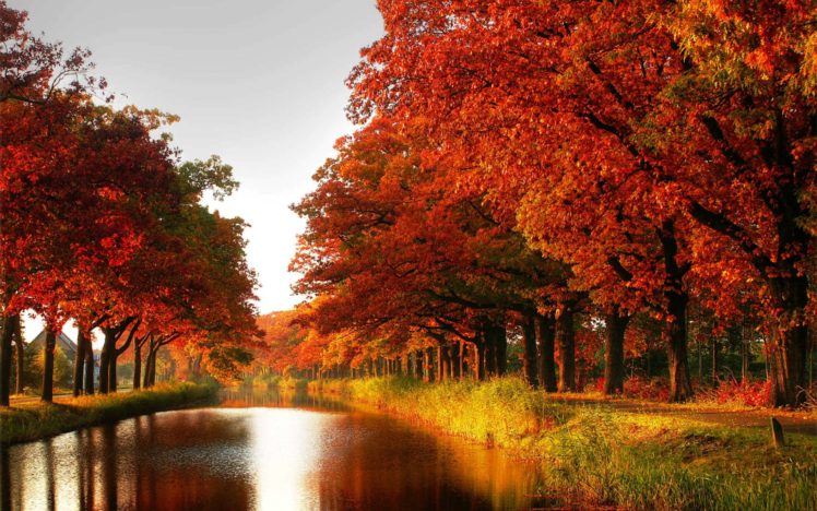 autumn, Colors HD Wallpaper Desktop Background