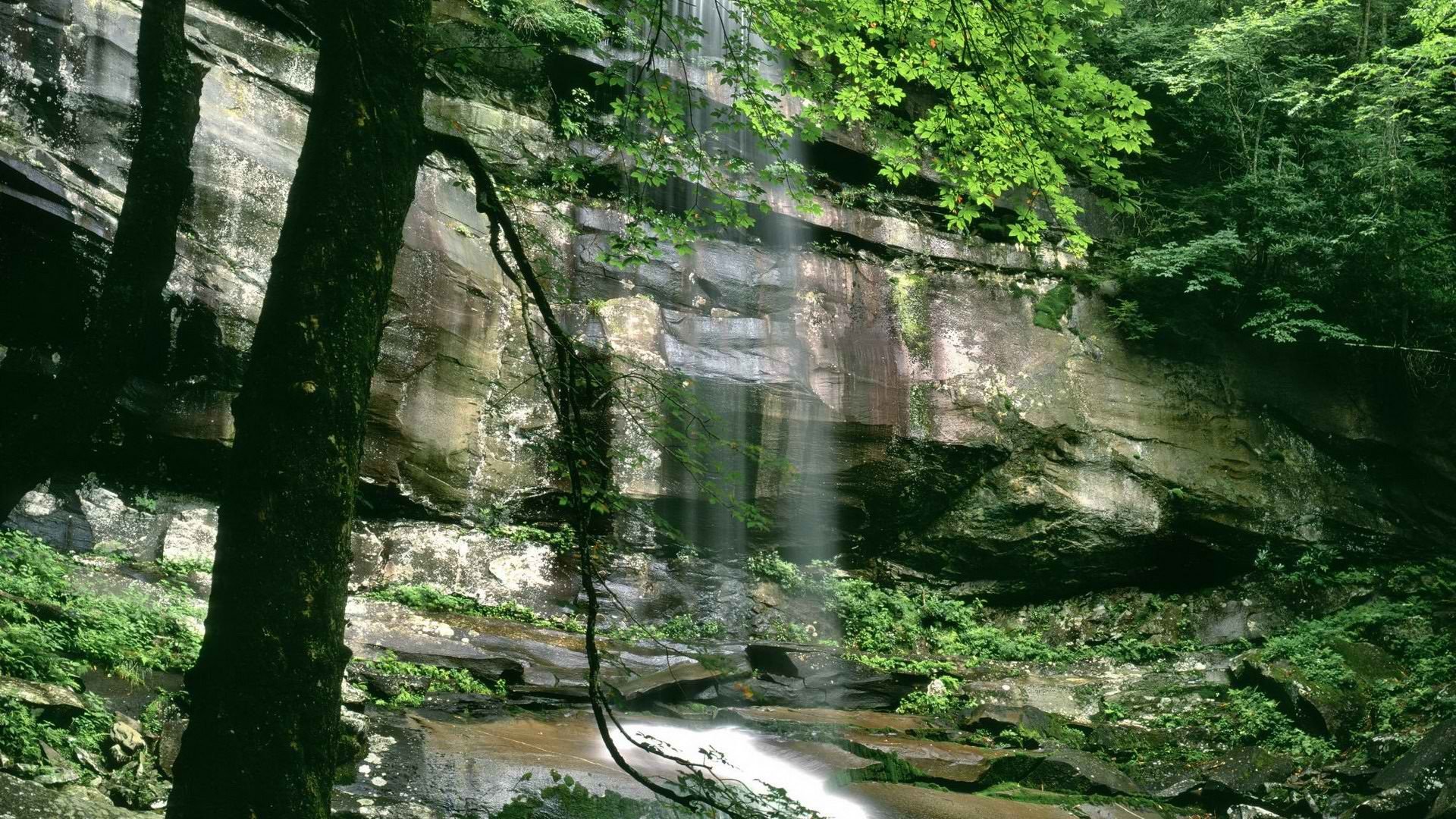 mountains, Spring, Falls, Tennessee, National, Park Wallpaper