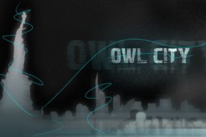 owl, City